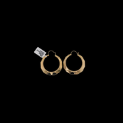 10k yellow gold 1 dollar high polish earrings